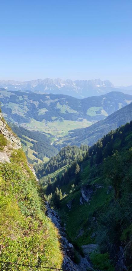 Pension Laerchenbrunn ヴェステンドルフ エクステリア 写真